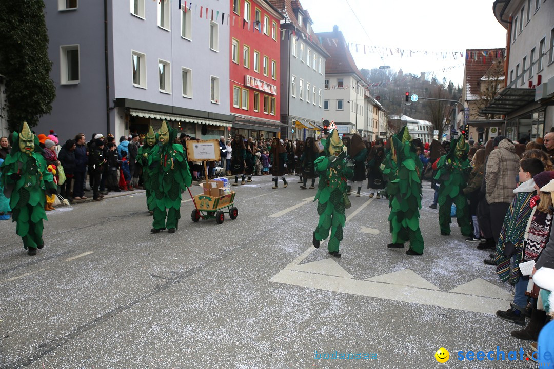 Tuttlinger Fasnetumzug: Tuttlingen am Bodensee, 10.02.2018