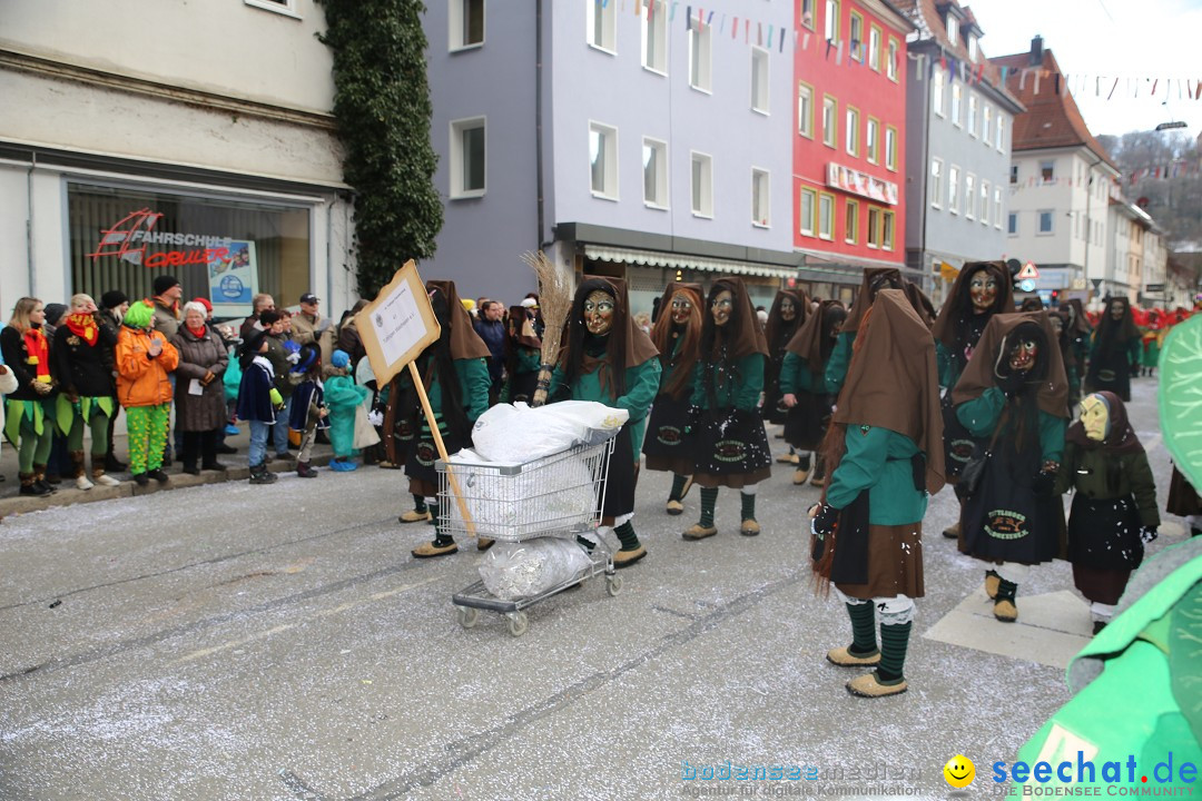 Tuttlinger Fasnetumzug: Tuttlingen am Bodensee, 10.02.2018