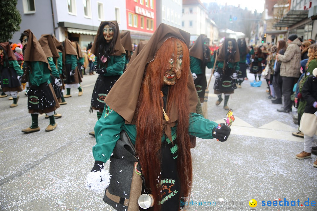 Tuttlinger Fasnetumzug: Tuttlingen am Bodensee, 10.02.2018