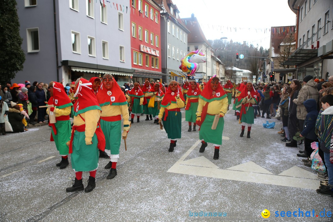 Tuttlinger Fasnetumzug: Tuttlingen am Bodensee, 10.02.2018