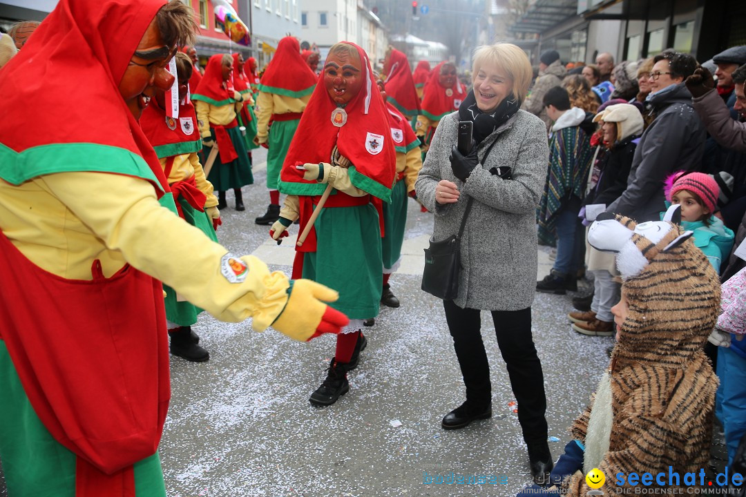 Tuttlinger Fasnetumzug: Tuttlingen am Bodensee, 10.02.2018