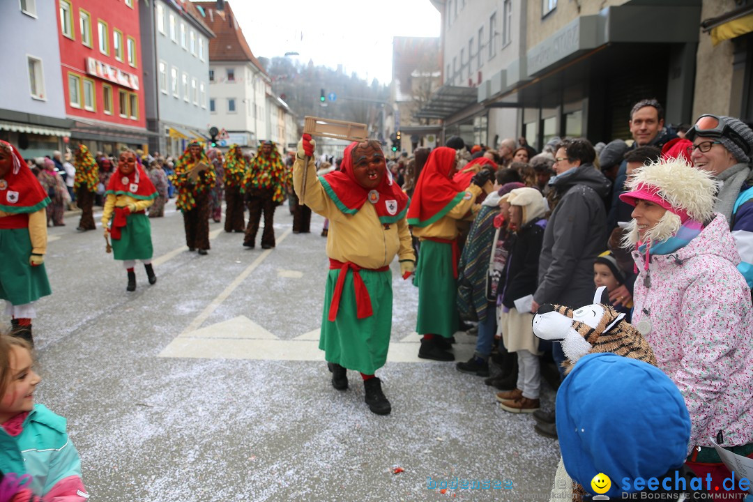 Tuttlinger Fasnetumzug: Tuttlingen am Bodensee, 10.02.2018