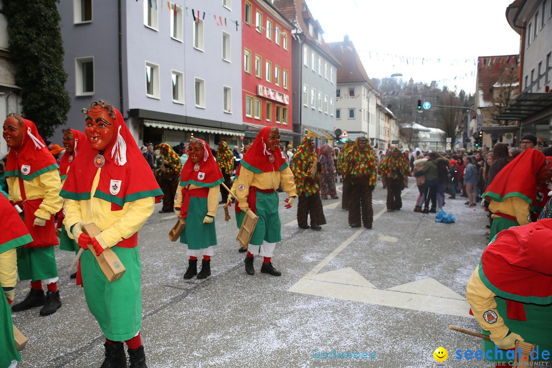 Tuttlinger Fasnetumzug: Tuttlingen am Bodensee, 10.02.2018