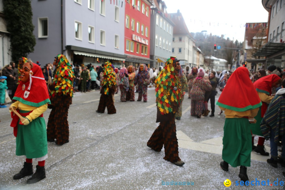 Tuttlinger Fasnetumzug: Tuttlingen am Bodensee, 10.02.2018