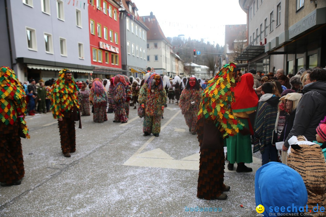 Tuttlinger Fasnetumzug: Tuttlingen am Bodensee, 10.02.2018