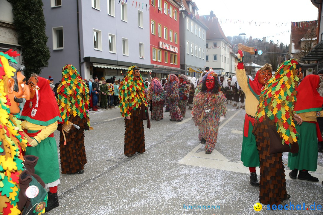 Tuttlinger Fasnetumzug: Tuttlingen am Bodensee, 10.02.2018