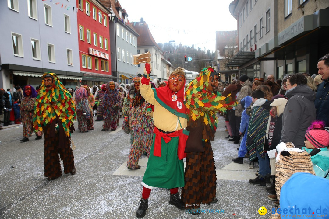 Tuttlinger Fasnetumzug: Tuttlingen am Bodensee, 10.02.2018