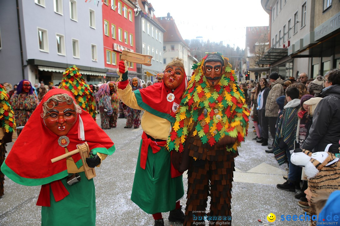 Tuttlinger Fasnetumzug: Tuttlingen am Bodensee, 10.02.2018