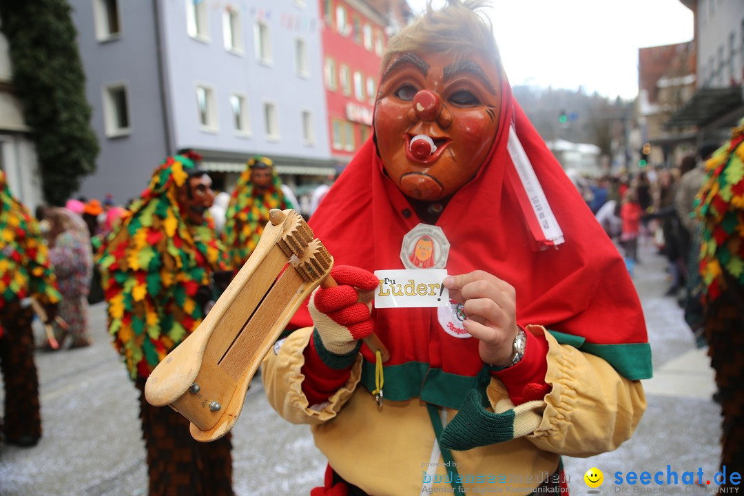 Tuttlinger Fasnetumzug: Tuttlingen am Bodensee, 10.02.2018