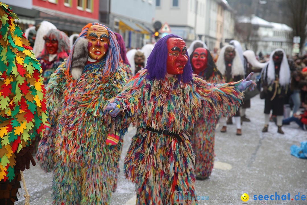 Tuttlinger Fasnetumzug: Tuttlingen am Bodensee, 10.02.2018