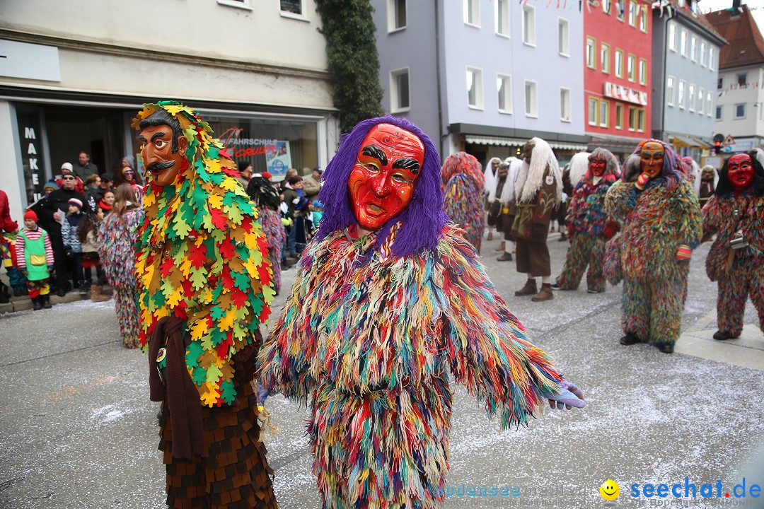 Tuttlinger Fasnetumzug: Tuttlingen am Bodensee, 10.02.2018