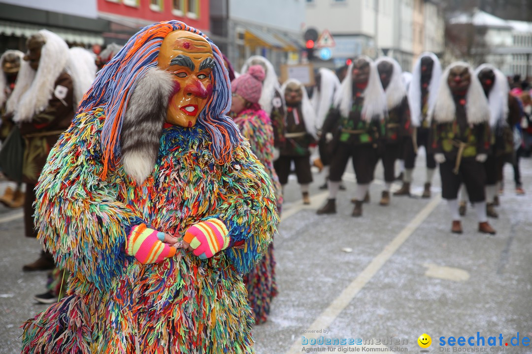 Tuttlinger Fasnetumzug: Tuttlingen am Bodensee, 10.02.2018