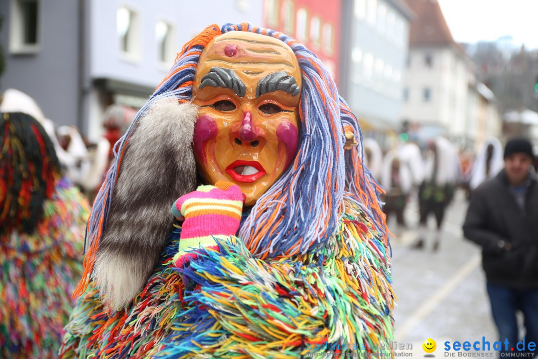 Tuttlinger Fasnetumzug: Tuttlingen am Bodensee, 10.02.2018