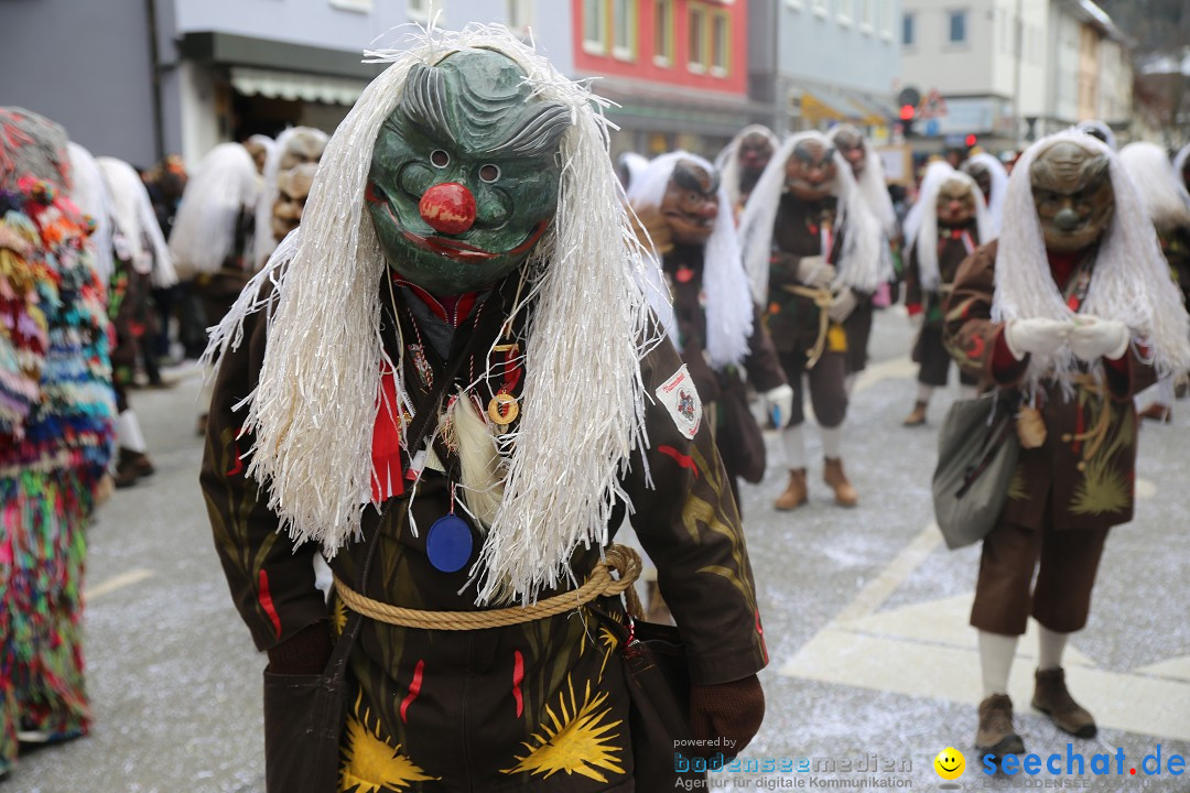 Tuttlinger Fasnetumzug: Tuttlingen am Bodensee, 10.02.2018