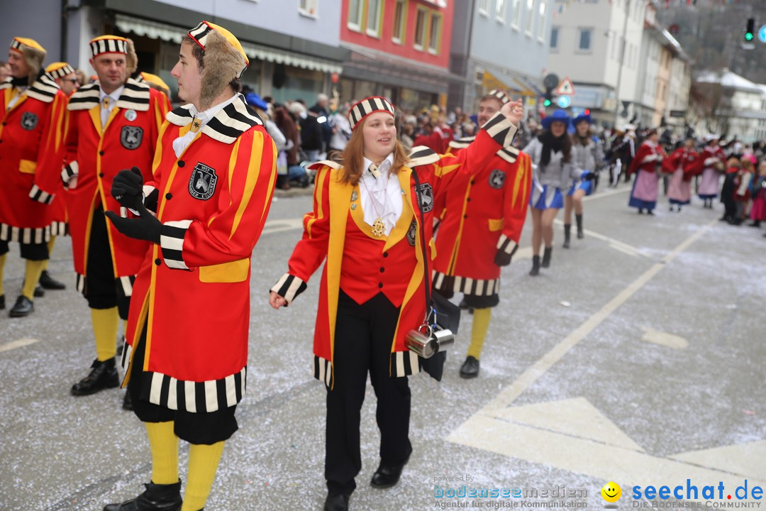 Tuttlinger Fasnetumzug: Tuttlingen am Bodensee, 10.02.2018