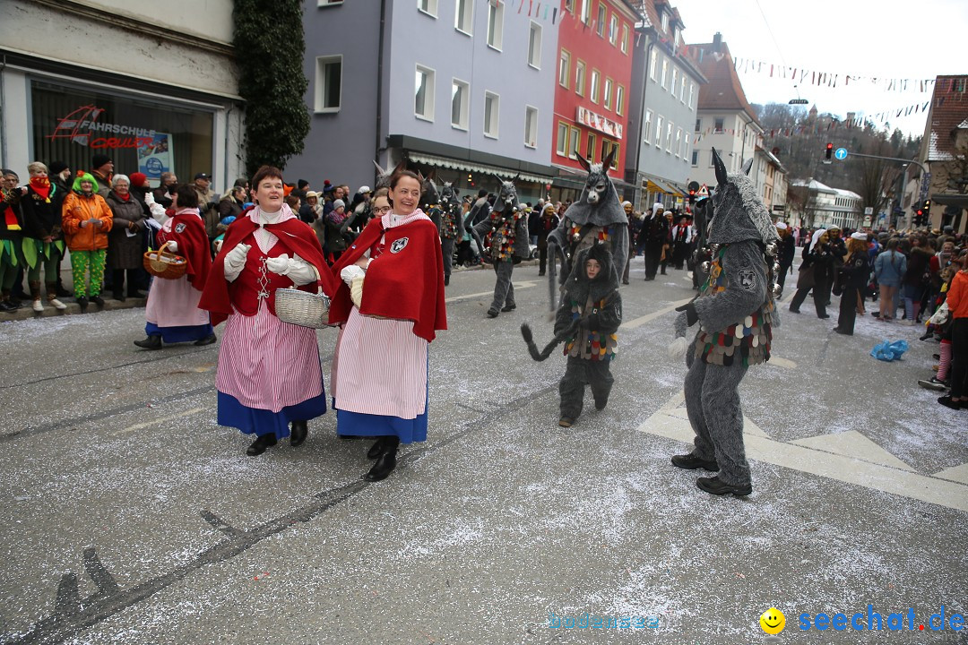 Tuttlinger Fasnetumzug: Tuttlingen am Bodensee, 10.02.2018