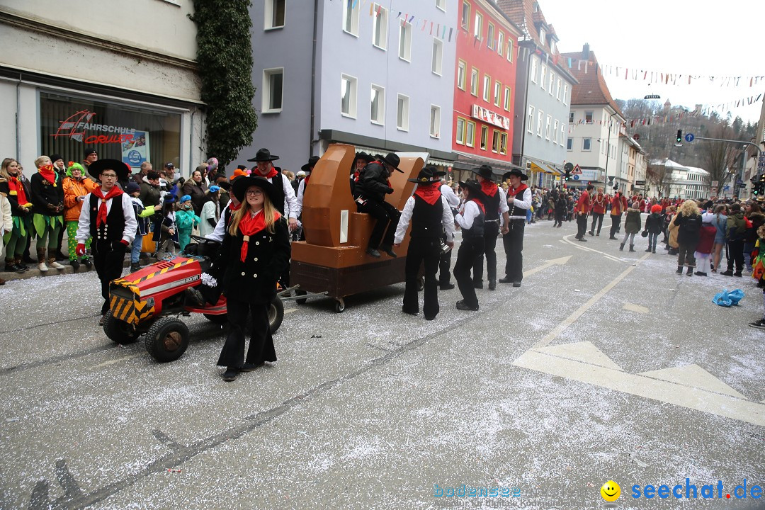 Tuttlinger Fasnetumzug: Tuttlingen am Bodensee, 10.02.2018