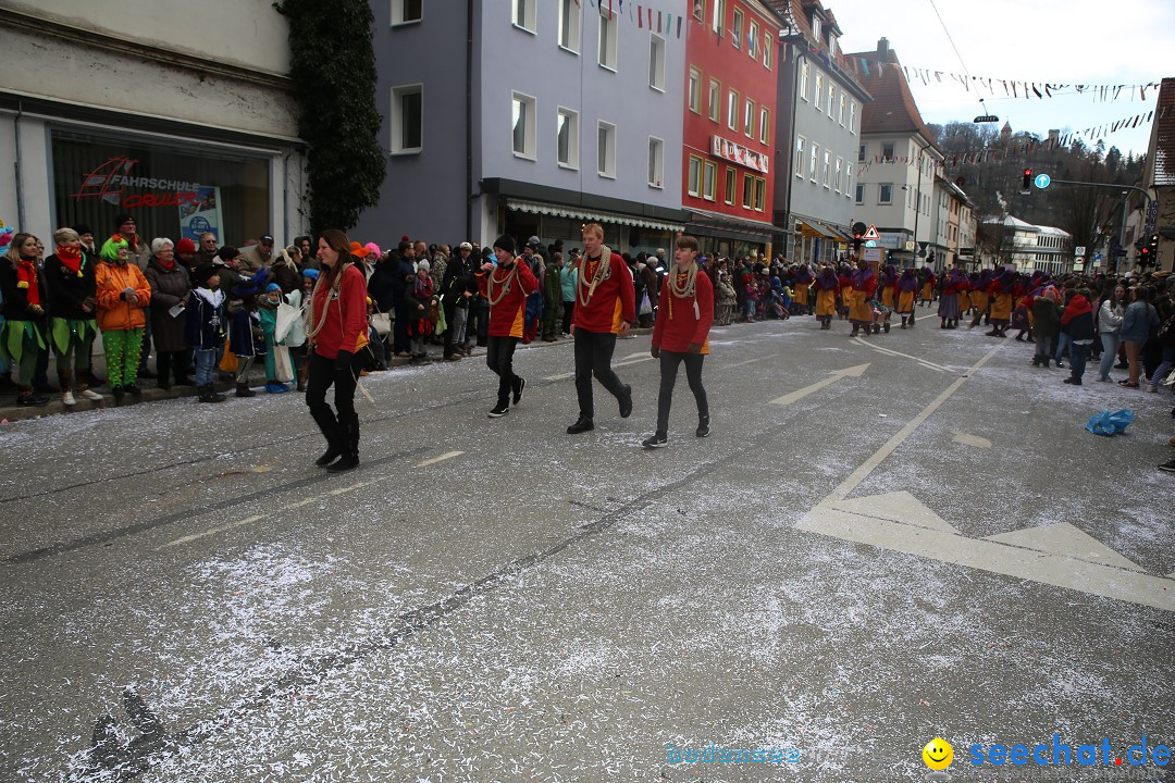 Tuttlinger Fasnetumzug: Tuttlingen am Bodensee, 10.02.2018