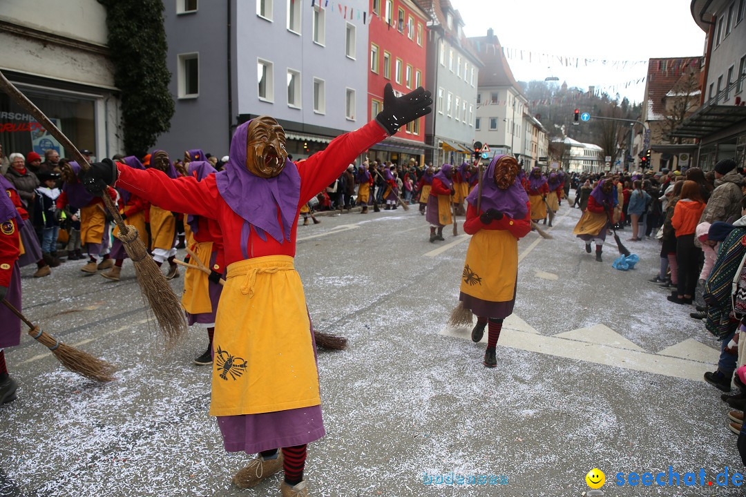 Tuttlinger Fasnetumzug: Tuttlingen am Bodensee, 10.02.2018