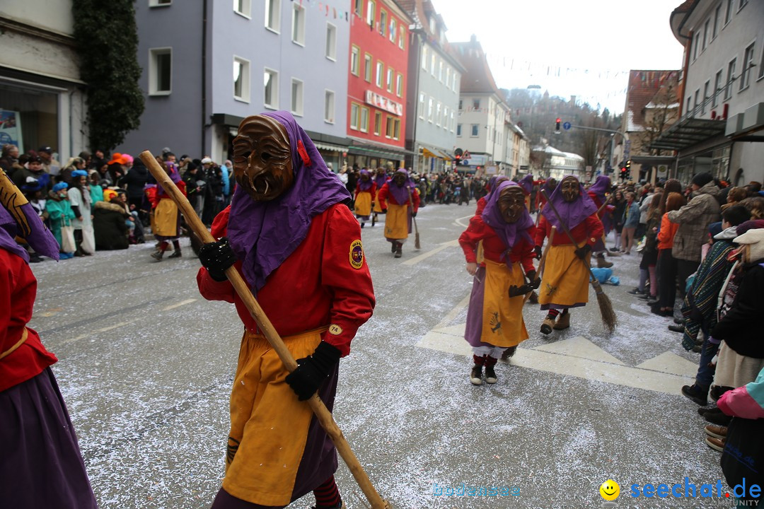 Tuttlinger Fasnetumzug: Tuttlingen am Bodensee, 10.02.2018