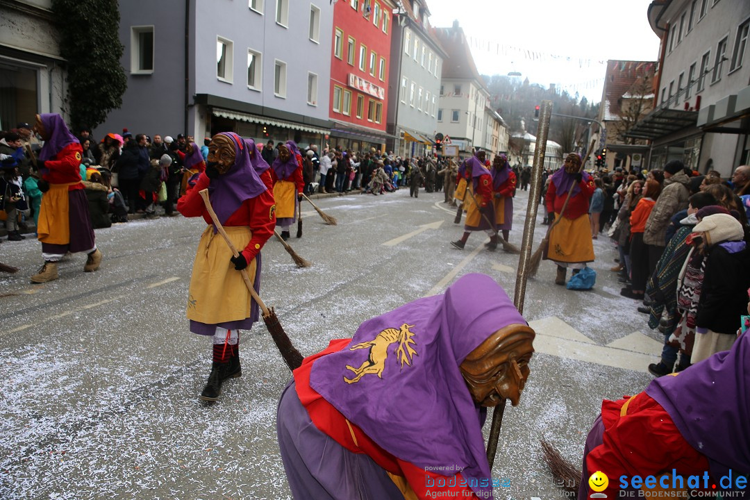 Tuttlinger Fasnetumzug: Tuttlingen am Bodensee, 10.02.2018