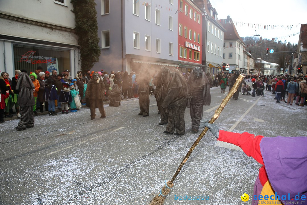 Tuttlinger Fasnetumzug: Tuttlingen am Bodensee, 10.02.2018