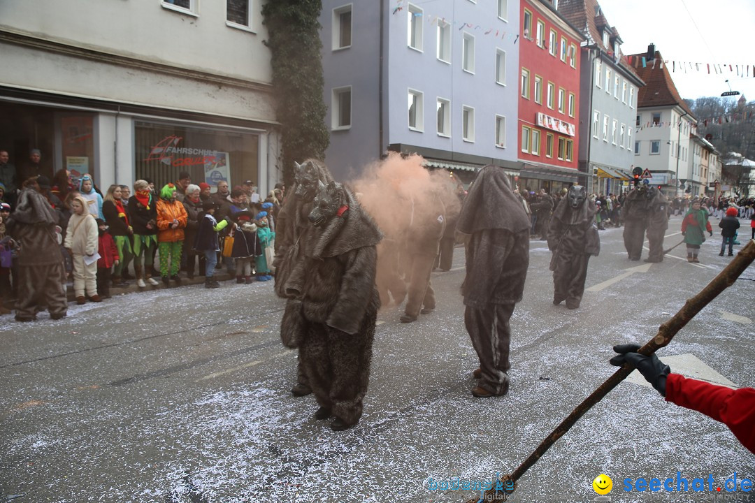 Tuttlinger Fasnetumzug: Tuttlingen am Bodensee, 10.02.2018