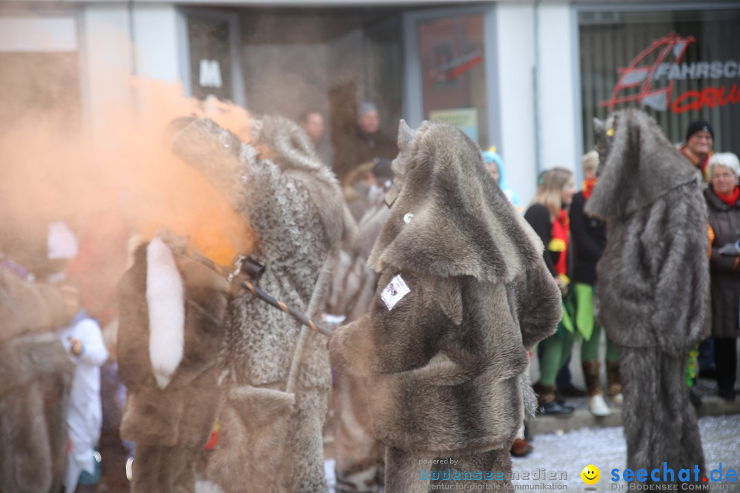 Tuttlinger Fasnetumzug: Tuttlingen am Bodensee, 10.02.2018