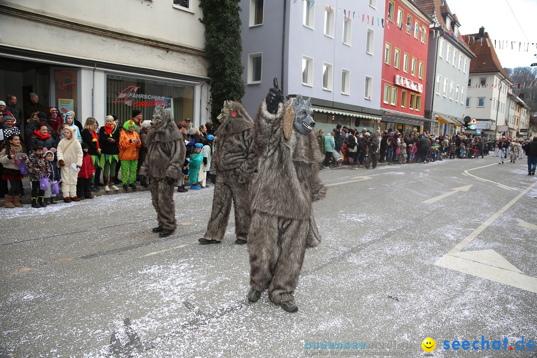 Tuttlinger Fasnetumzug: Tuttlingen am Bodensee, 10.02.2018