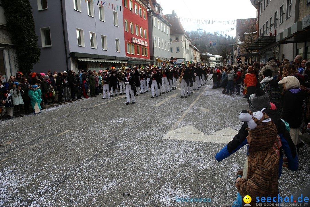 Tuttlinger Fasnetumzug: Tuttlingen am Bodensee, 10.02.2018