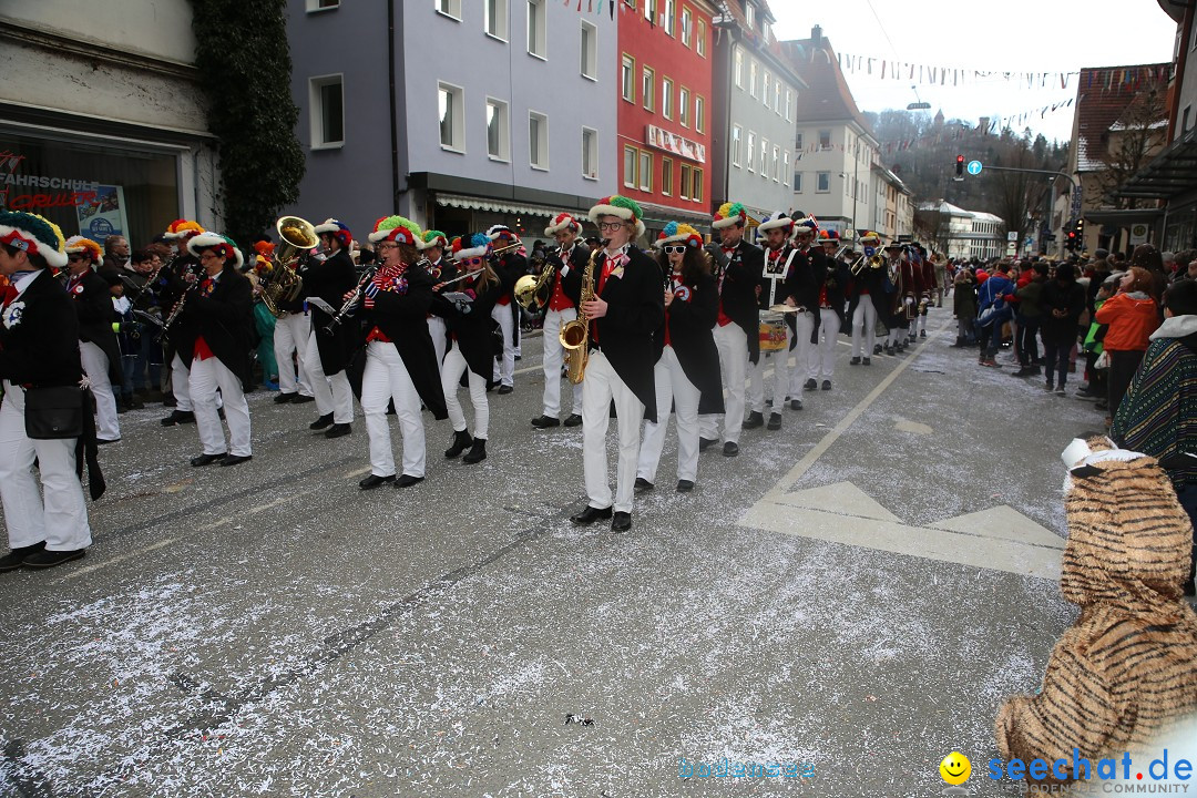 Tuttlinger Fasnetumzug: Tuttlingen am Bodensee, 10.02.2018