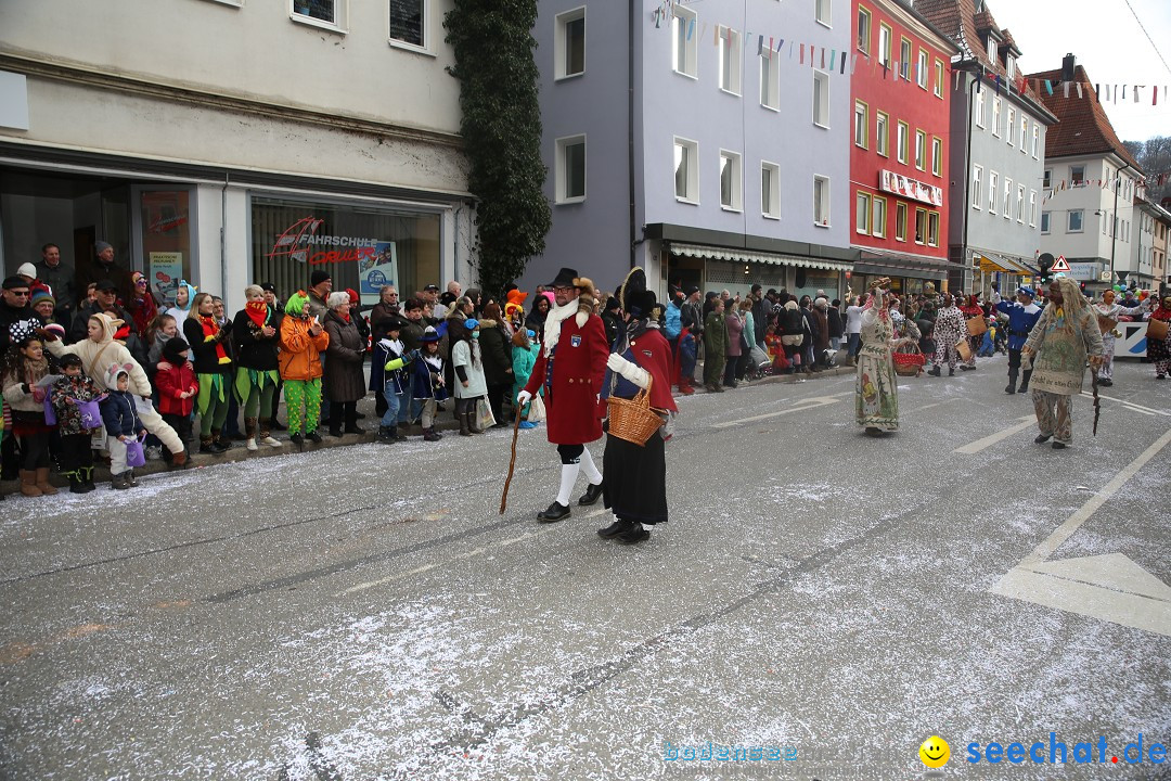 Tuttlinger Fasnetumzug: Tuttlingen am Bodensee, 10.02.2018