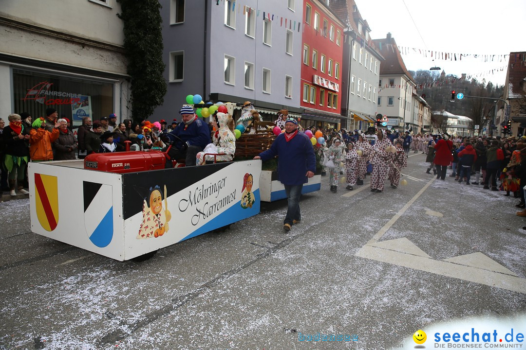 Tuttlinger Fasnetumzug: Tuttlingen am Bodensee, 10.02.2018