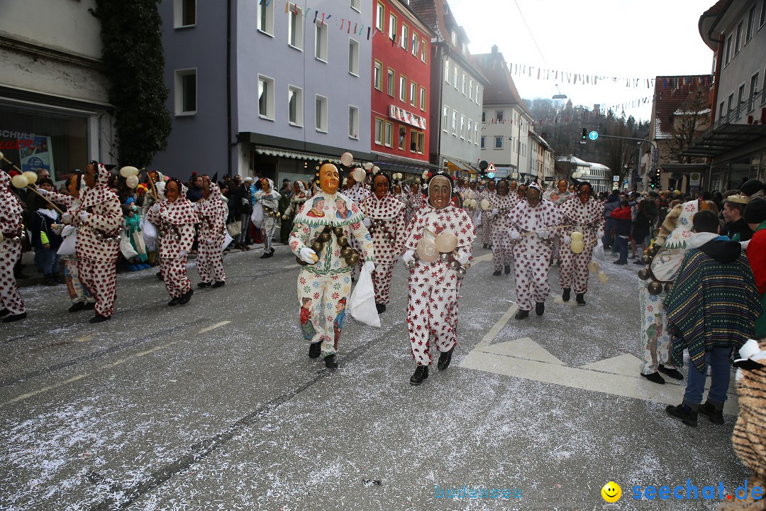 Tuttlinger Fasnetumzug: Tuttlingen am Bodensee, 10.02.2018