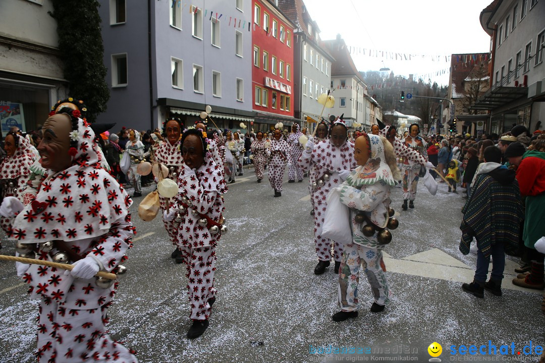 Tuttlinger Fasnetumzug: Tuttlingen am Bodensee, 10.02.2018