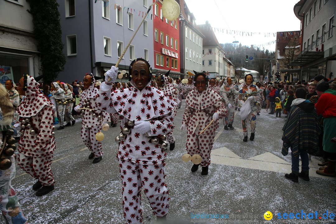 Tuttlinger Fasnetumzug: Tuttlingen am Bodensee, 10.02.2018