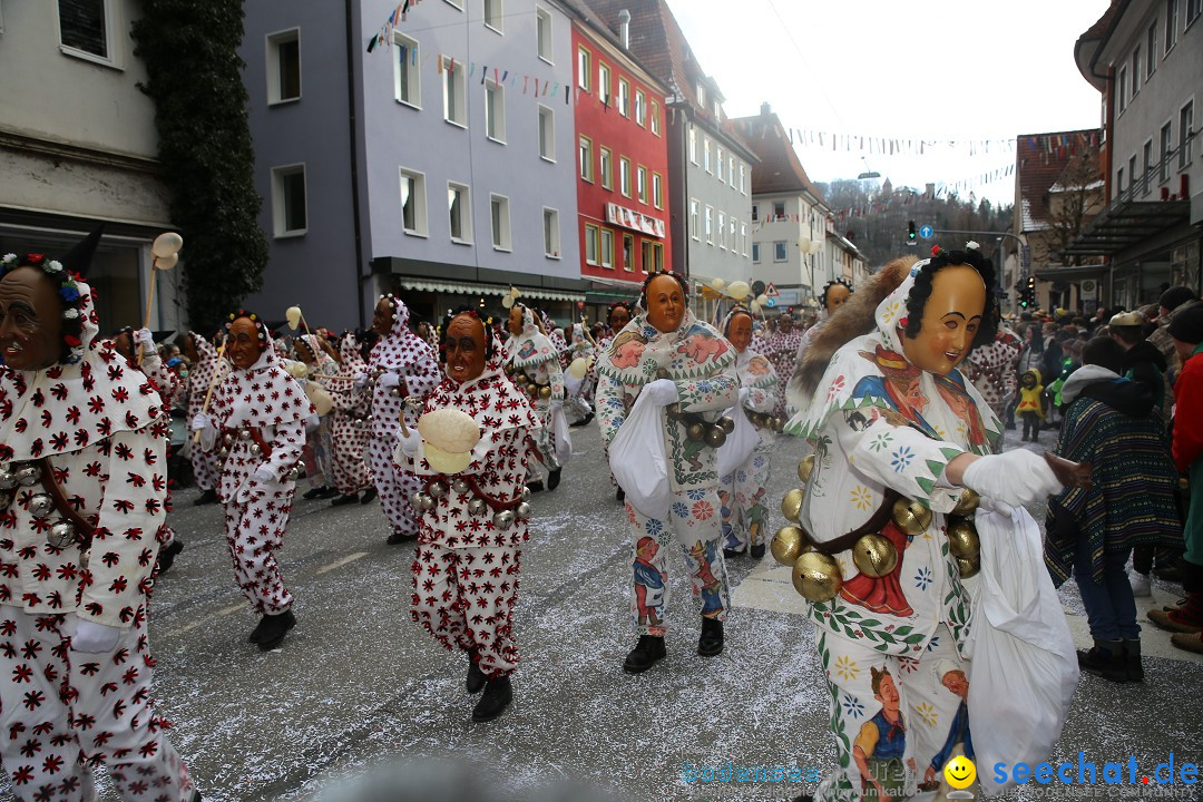 Tuttlinger Fasnetumzug: Tuttlingen am Bodensee, 10.02.2018