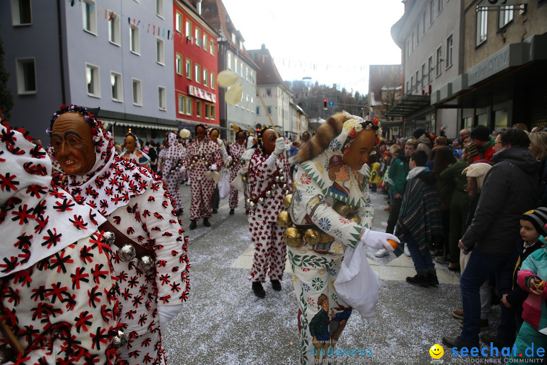 Tuttlinger Fasnetumzug: Tuttlingen am Bodensee, 10.02.2018