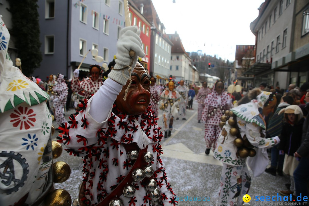 Tuttlinger Fasnetumzug: Tuttlingen am Bodensee, 10.02.2018