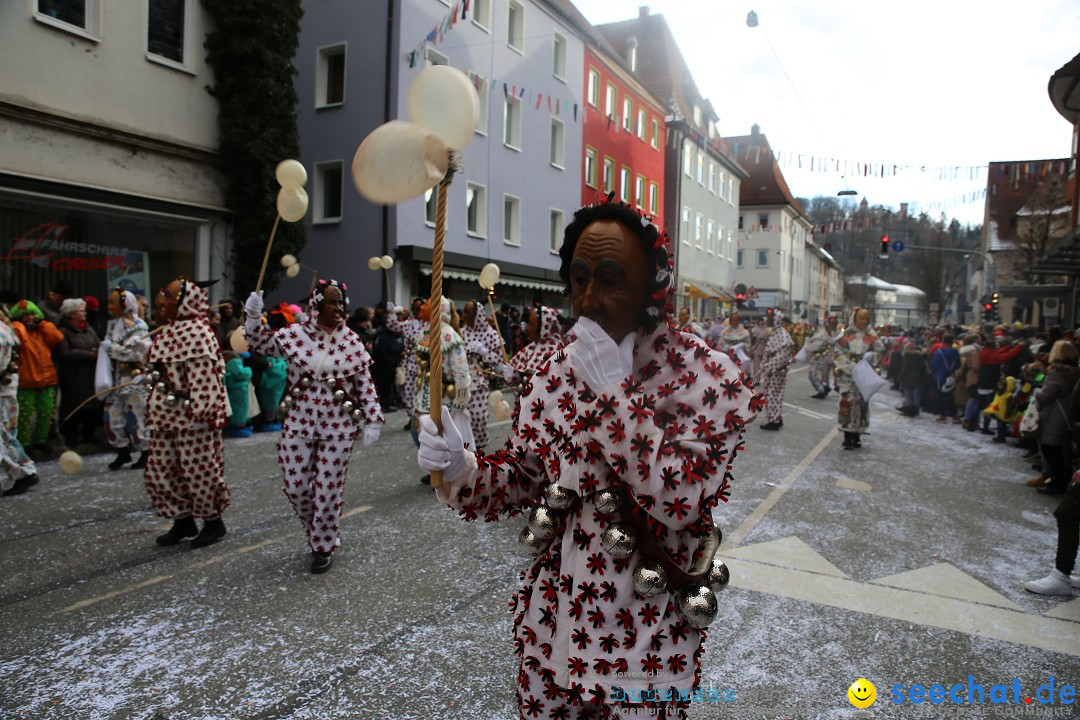 Tuttlinger Fasnetumzug: Tuttlingen am Bodensee, 10.02.2018