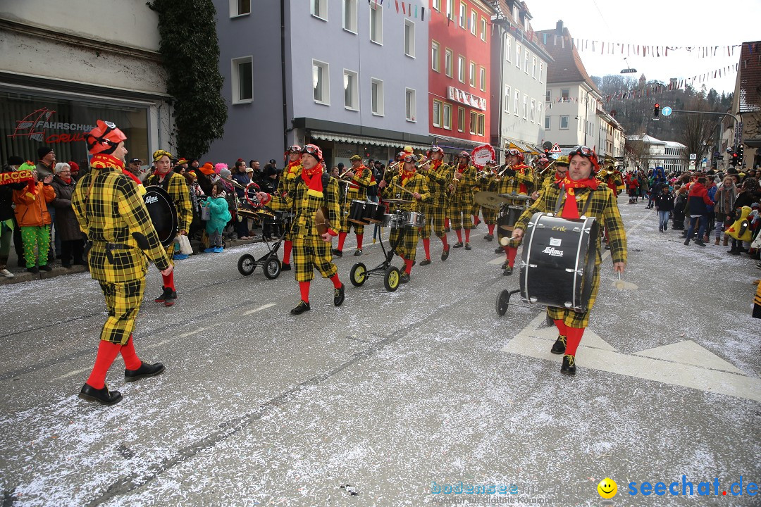 Tuttlinger Fasnetumzug: Tuttlingen am Bodensee, 10.02.2018