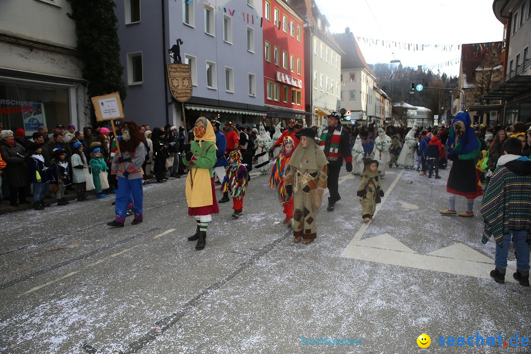 Tuttlinger Fasnetumzug: Tuttlingen am Bodensee, 10.02.2018