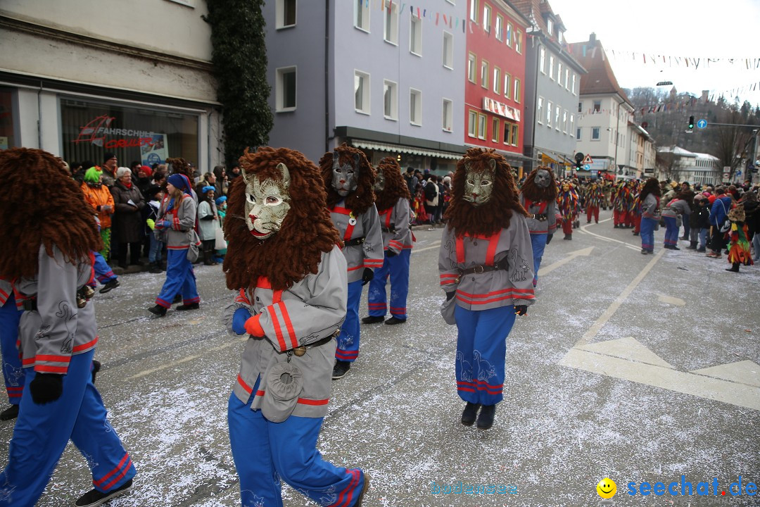 Tuttlinger Fasnetumzug: Tuttlingen am Bodensee, 10.02.2018