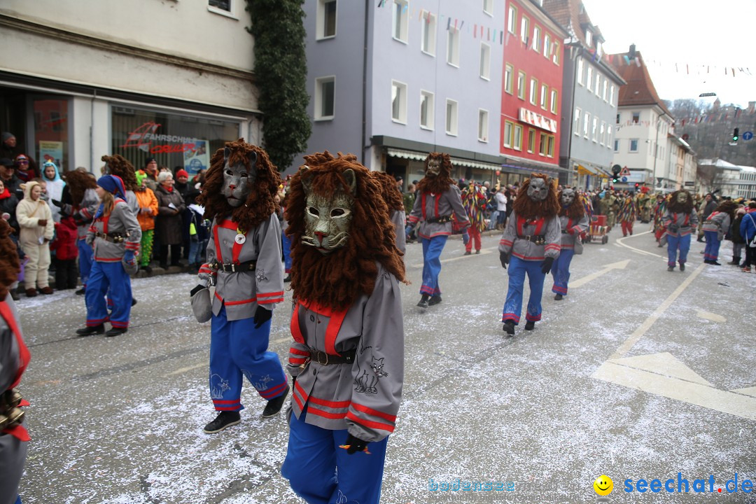 Tuttlinger Fasnetumzug: Tuttlingen am Bodensee, 10.02.2018