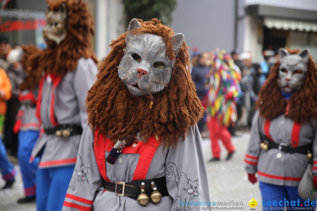 Tuttlinger Fasnetumzug: Tuttlingen am Bodensee, 10.02.2018