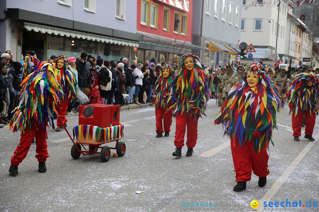 Tuttlinger Fasnetumzug: Tuttlingen am Bodensee, 10.02.2018