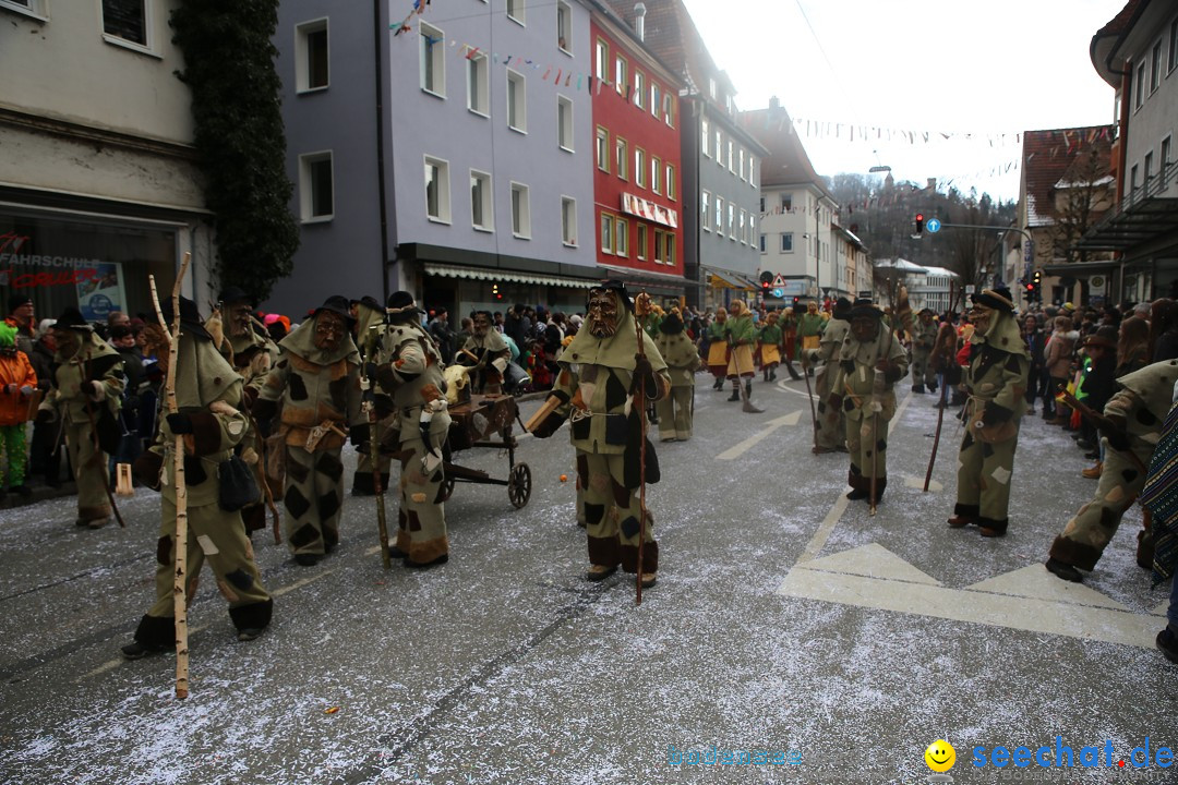 Tuttlinger Fasnetumzug: Tuttlingen am Bodensee, 10.02.2018