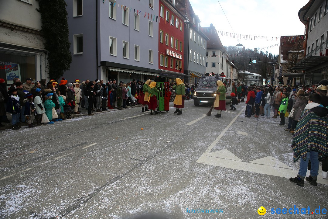 Tuttlinger Fasnetumzug: Tuttlingen am Bodensee, 10.02.2018