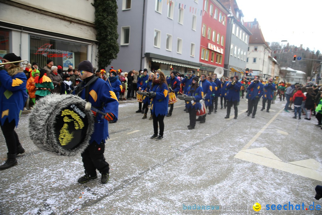 Tuttlinger Fasnetumzug: Tuttlingen am Bodensee, 10.02.2018