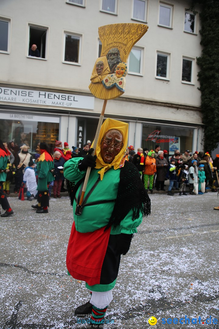 Tuttlinger Fasnetumzug: Tuttlingen am Bodensee, 10.02.2018